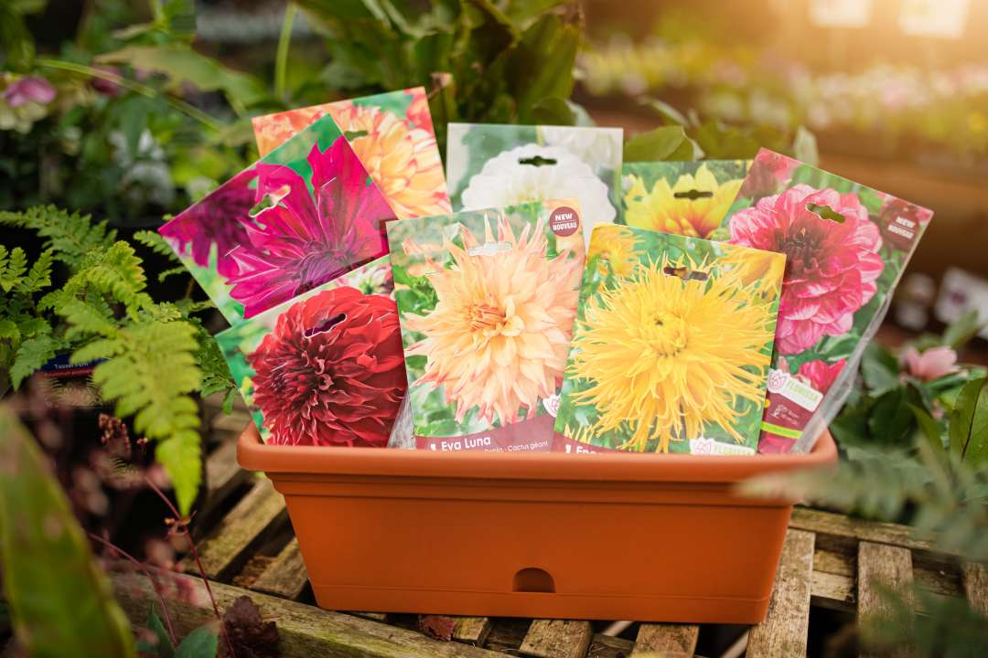 Bulbs & Tubers Gardenworks